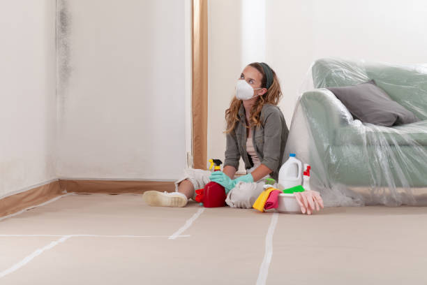 Reliable Mold Remediation contractor in Bernardsville, NJ by Cheap Mold Removal